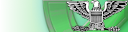 Colonel